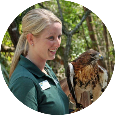Environmental Studies Student with a hawk