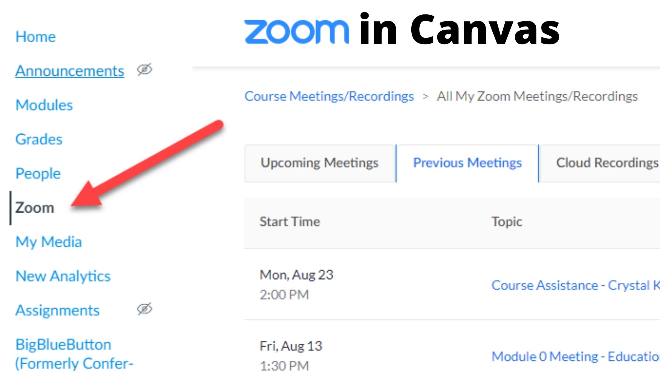 Using Zoom with Canvas